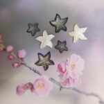 verschillende maten zeesterren in parelmoer, witte parelmoer en zwarte